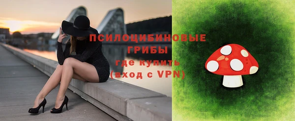 ALPHA PVP Алексин